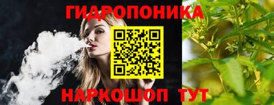 apvp Кимры