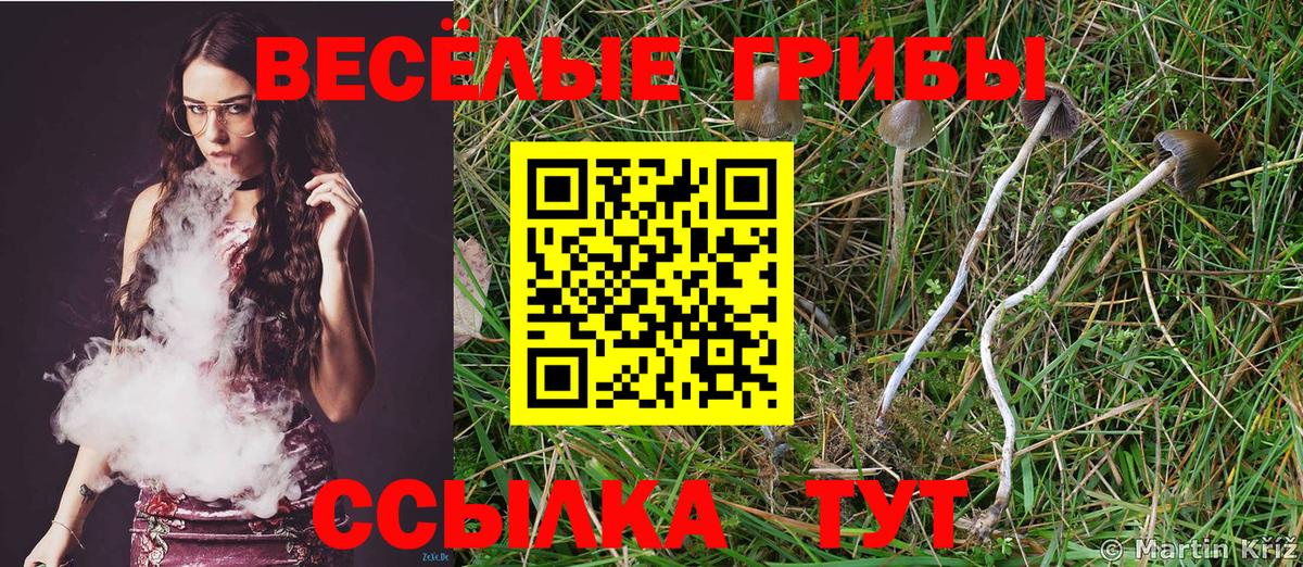Галлюциногенные грибы GOLDEN TEACHER  Вход с VPN  Ковров  Галлюциногенные грибы Cubensis 